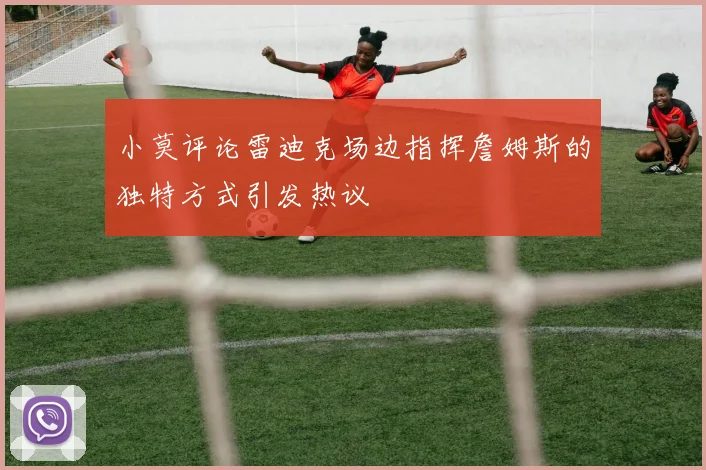 小莫评论雷迪克场边指挥詹姆斯的独特方式引发热议