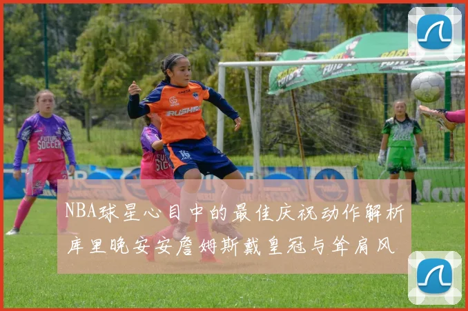 NBA球星心目中的最佳庆祝动作解析库里晚安安詹姆斯戴皇冠与耸肩风采