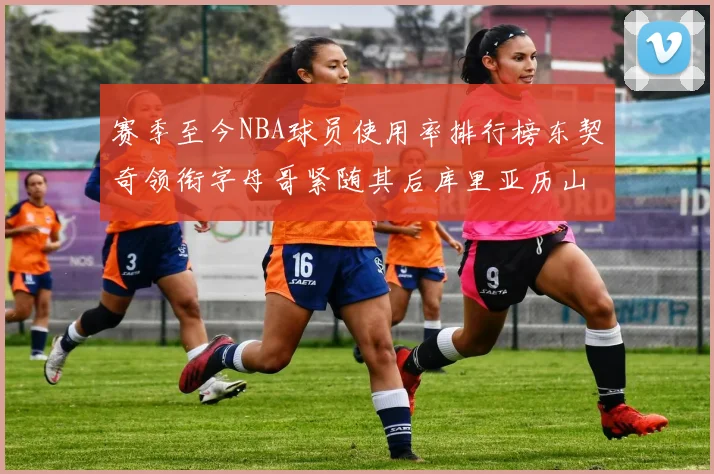 赛季至今NBA球员使用率排行榜东契奇领衔字母哥紧随其后库里亚历山大表现抢眼