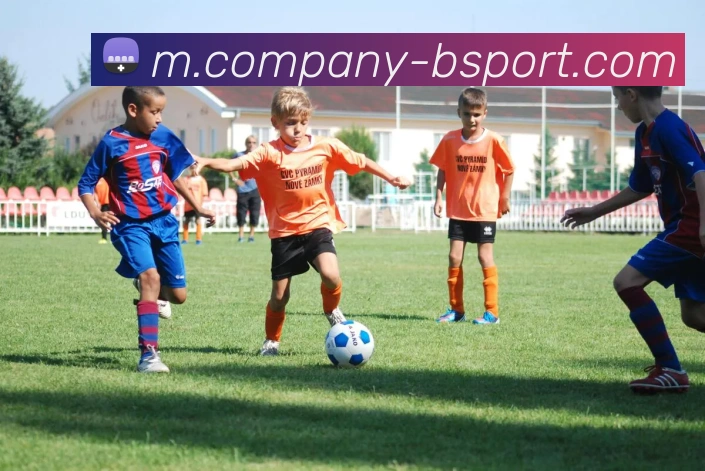 B体育APP 封面图